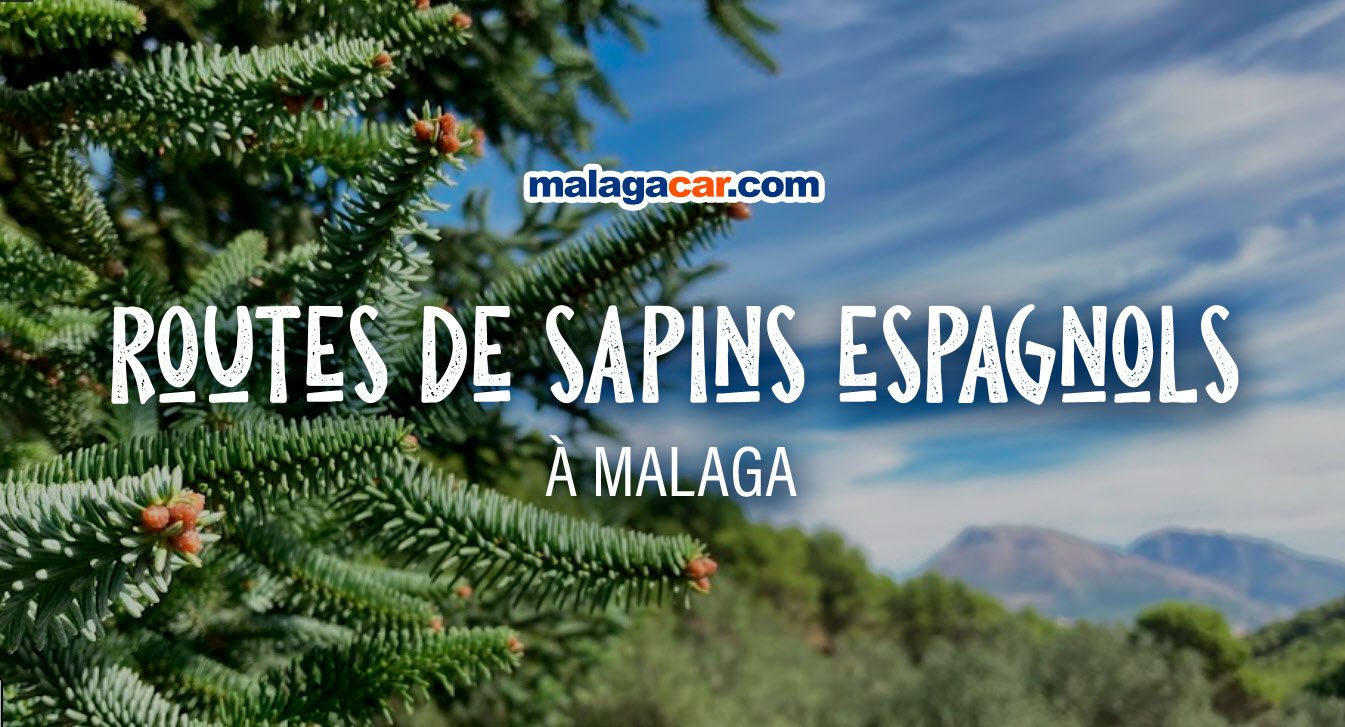 Routes de sapins espagnols à Malaga