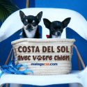 Costa del Sol avec chien
