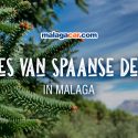 Routes van Spaanse dennen in Malaga