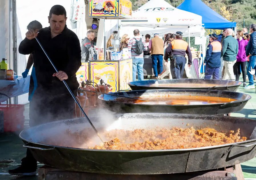 parauta fiesta conejo